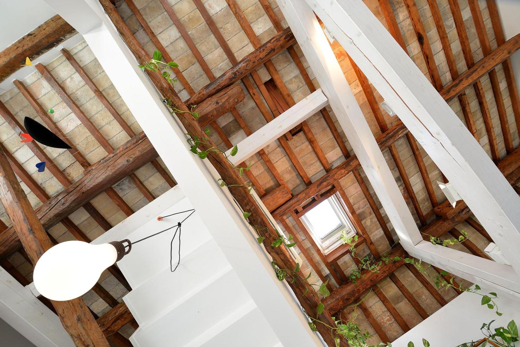 Dandolo-Terrace Apartment เวนิส ภายนอก รูปภาพ